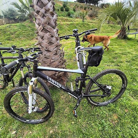Tenuta Lunoa Salandra Εξωτερικό φωτογραφία